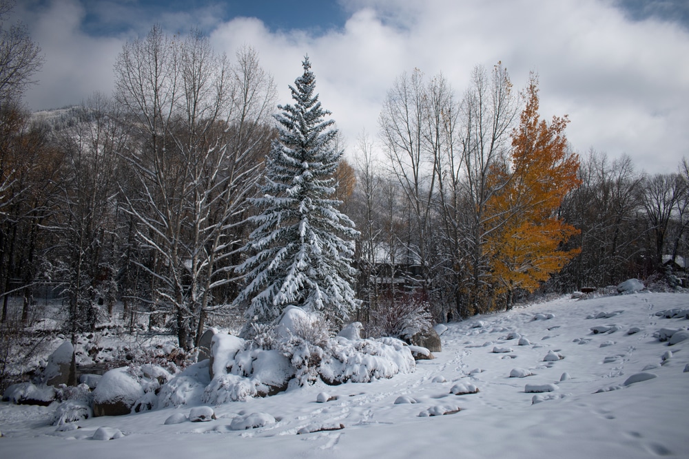 John,Denver,Sanctuary.,Aspen,Co.,Usa.,October,26,,2020