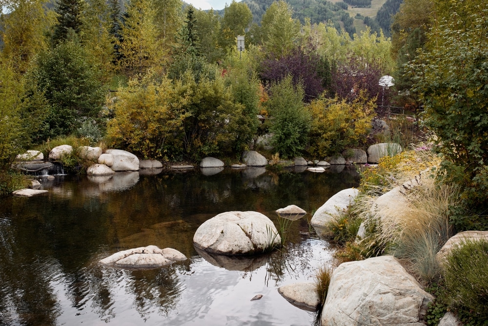 Pond,Surrounded,By,Rocks,And,Lush,Trees,At,The,John