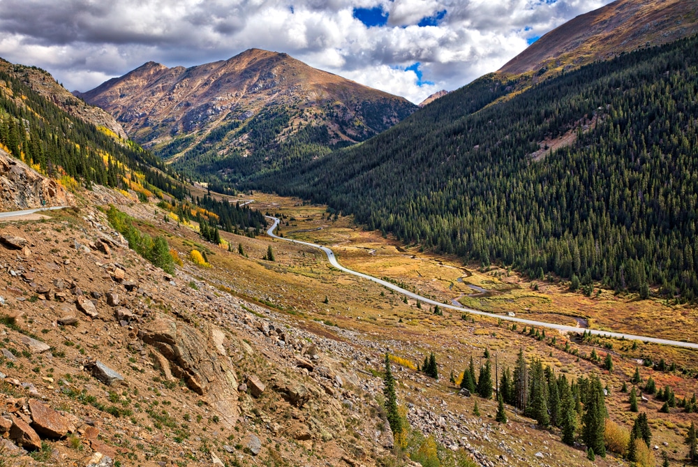 Meadow,Along,Independence,Pass,Road,,In,Autumn.,Colorado.