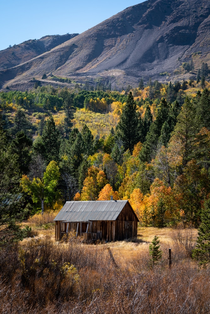 Photo,Of,Old,Wood,Cabin,In,The,Hope,Valley,,California