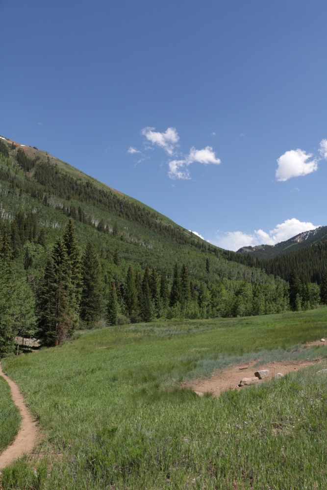 The,Old,Ghost,Town,Of,Ashford,Near,Aspen,Colorado